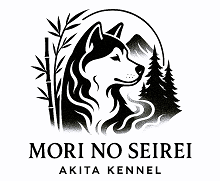logo fehér220